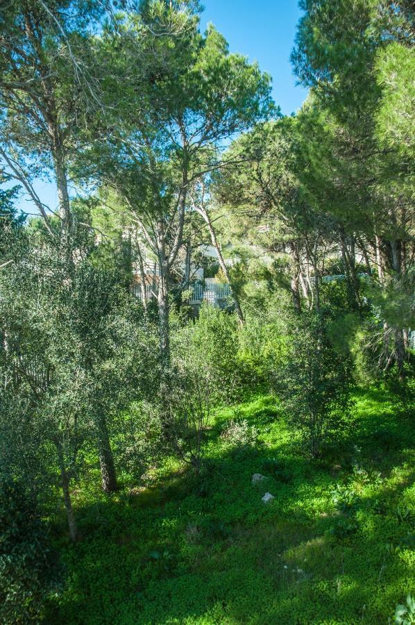 Caper Villa Santa Caterina  Екстериор снимка